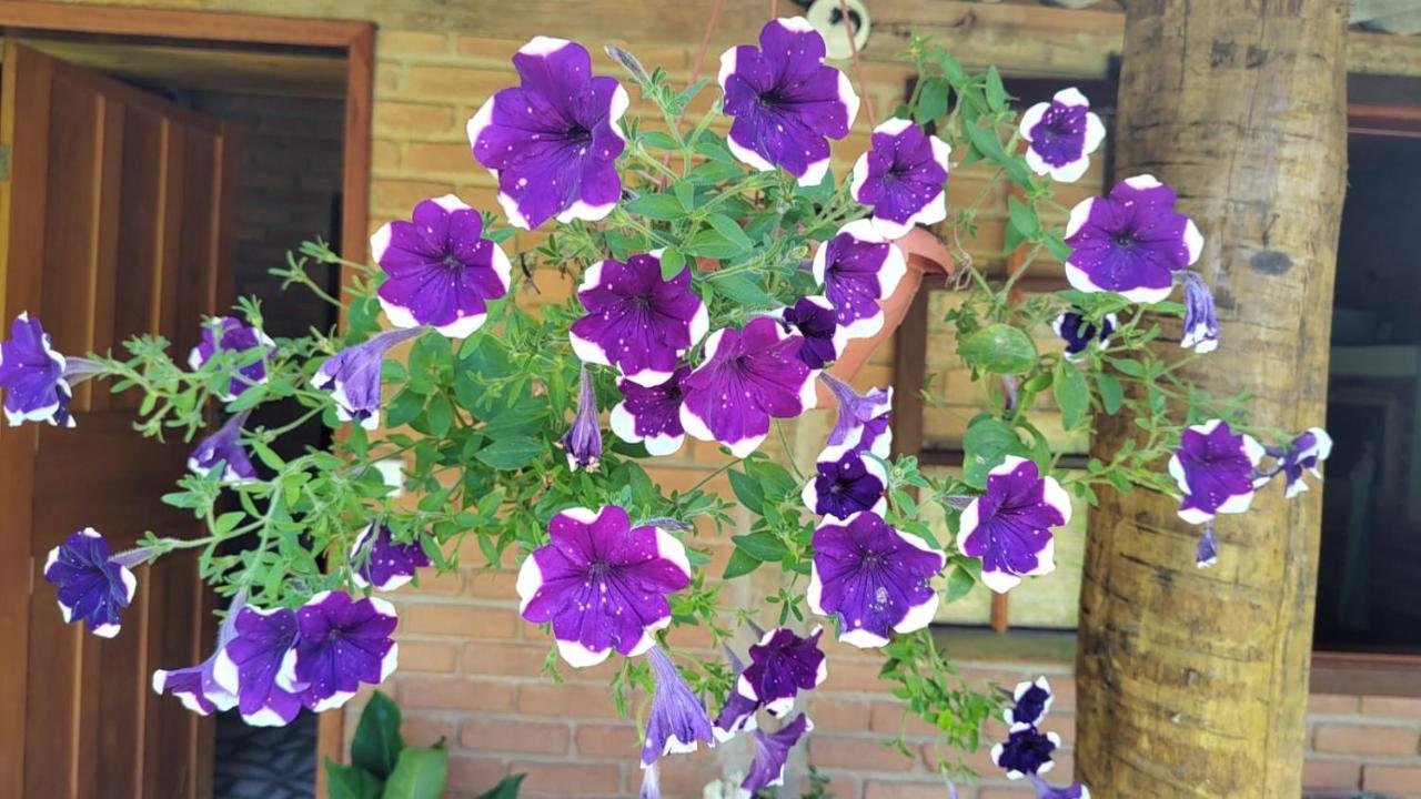 Chale Vale Das Flores - Visconde De Maua Rj Buitenkant foto